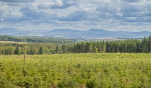 recycling and waste management services in scotland