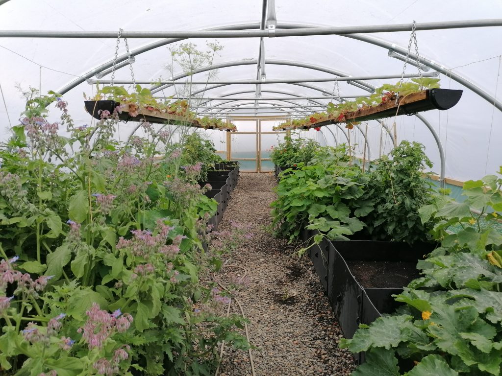 West Lothian Foodbank - Polytunnel